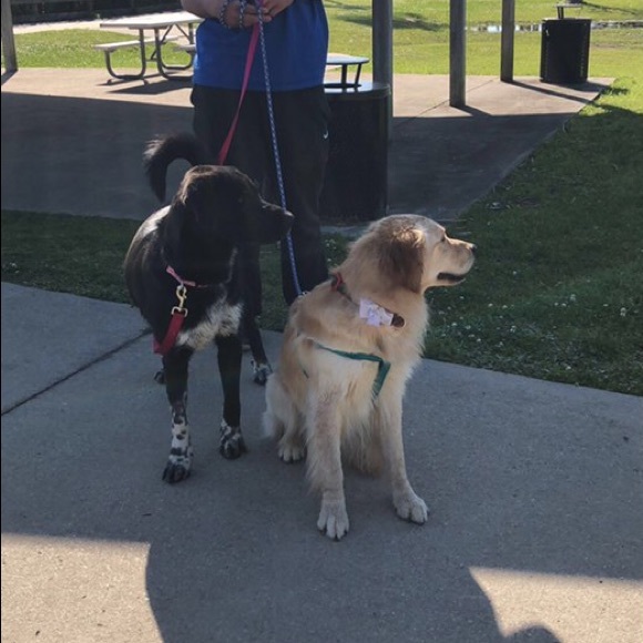 Meet your Posher, Mariah - Picture 1 of 1